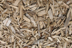 biomass boilers Ynysmeudwy